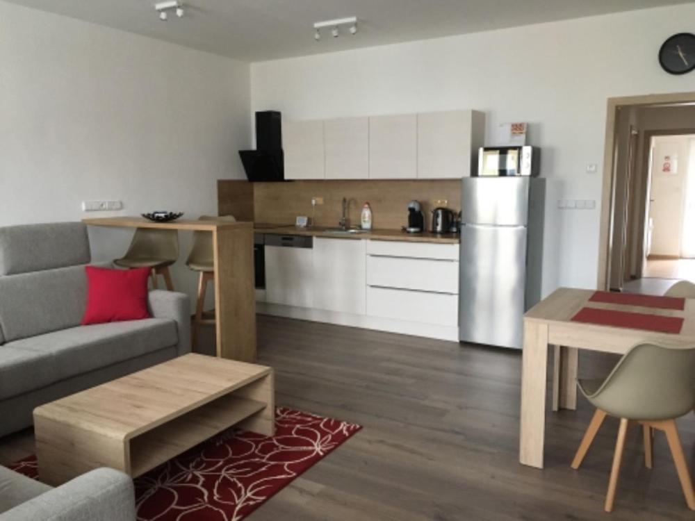 Appartamento Papeto Frymburk Esterno foto